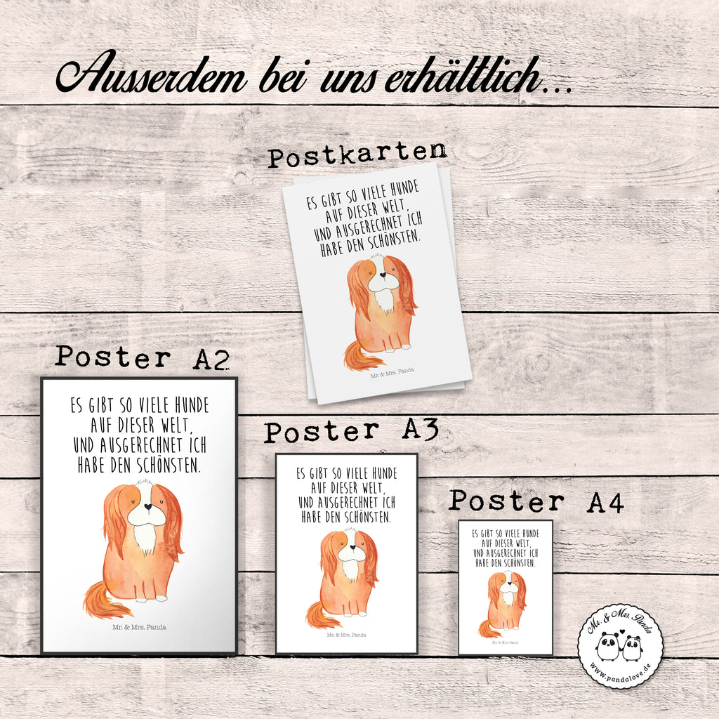 Poster Cavalier King Charles Spaniel Poster, Wandposter, Bild, Wanddeko, Küchenposter, Kinderposter, Wanddeko Bild, Raumdekoration, Wanddekoration, Handgemaltes Poster, Mr. & Mrs. Panda Poster, Designposter, Kunstdruck, Posterdruck, Hund, Hundemotiv, Haustier, Hunderasse, Tierliebhaber, Hundebesitzer, Sprüche, Cavalier King Charles Spaniel, Cockerspaniel, Spaniel, Spruch, schönster Hund