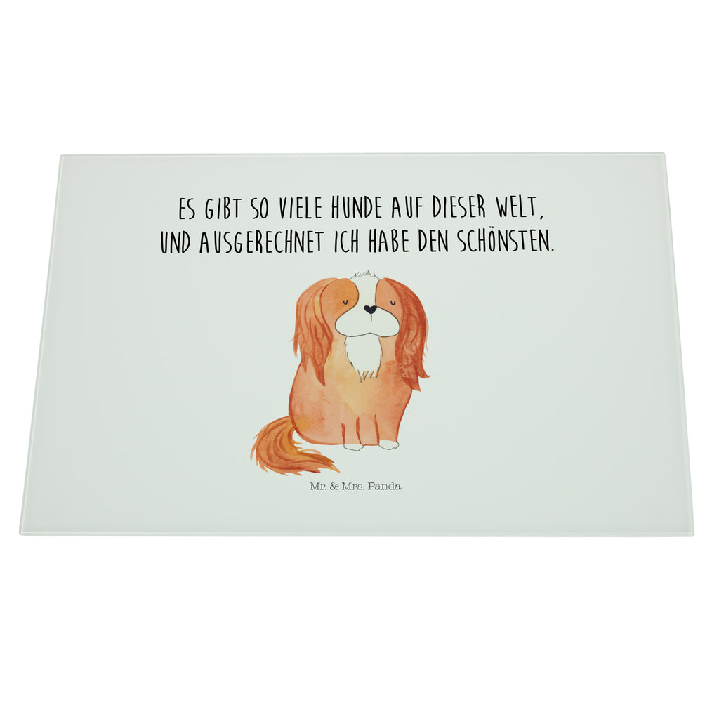 XL Glas Schneidbrett Cavalier King Charles Spaniel Glasschneidebrett, Schneidebrett, Frühstücksbrett, Küche, Hund, Hundemotiv, Haustier, Hunderasse, Tierliebhaber, Hundebesitzer, Sprüche, Cavalier King Charles Spaniel, Cockerspaniel, Spaniel, Spruch, schönster Hund