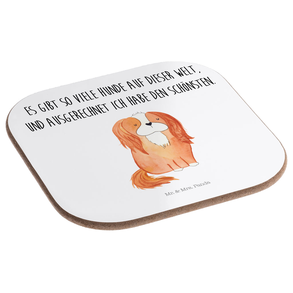 Quadratische Untersetzer Cavalier King Charles Spaniel Bierdeckel, Glasuntersetzer, Untersetzer Gläser, Getränkeuntersetzer, Hund, Hundemotiv, Haustier, Hunderasse, Tierliebhaber, Hundebesitzer, Sprüche, Cavalier King Charles Spaniel, Cockerspaniel, Spaniel, Spruch, schönster Hund
