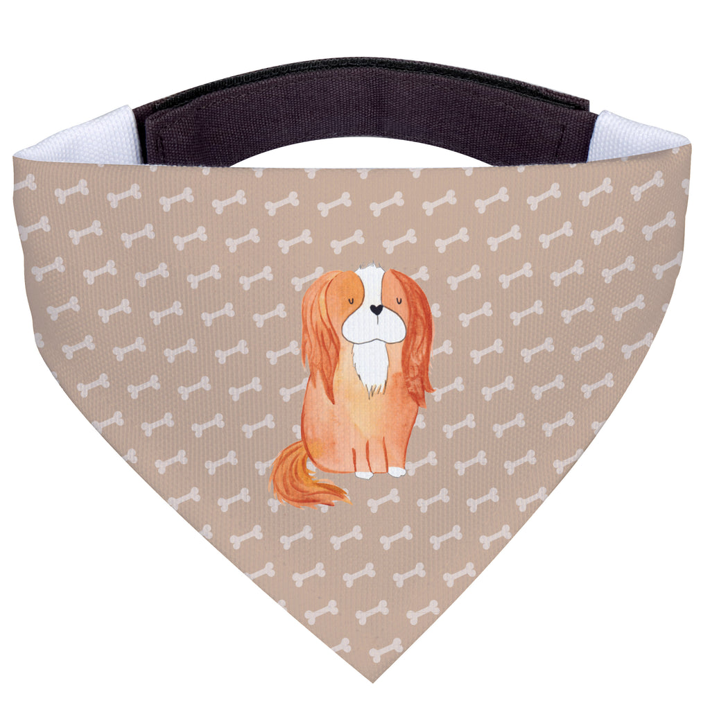 Hundehalstuch L Cavalier King Charles Spaniel Hundehalstuch, Halstuch, Hunde, Tuch, groß, große Hunde, Hund, Hundemotiv, Haustier, Hunderasse, Tierliebhaber, Hundebesitzer, Sprüche, Cavalier King Charles Spaniel, Cockerspaniel, Spaniel, Spruch, schönster Hund