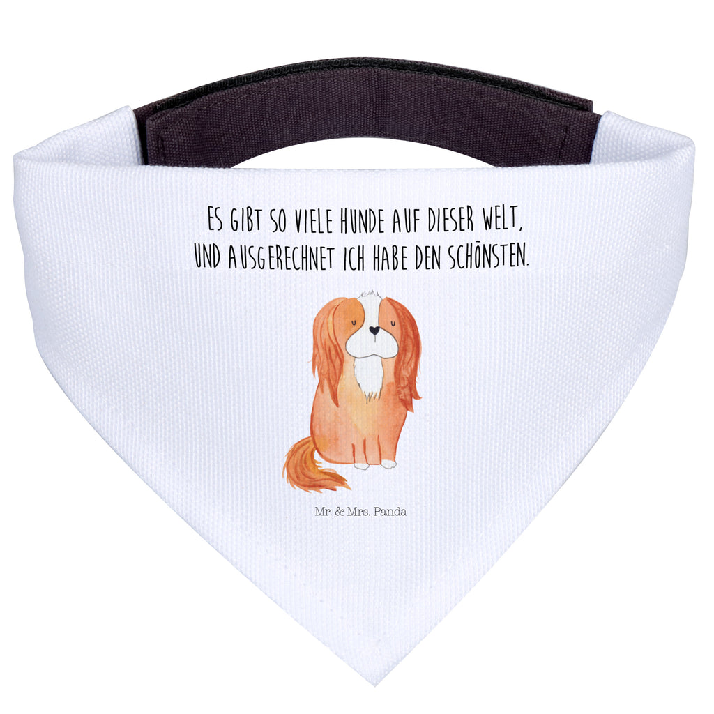Hundehalstuch L Cavalier King Charles Spaniel Hundehalstuch, Halstuch, Hunde, Tuch, groß, große Hunde, Hund, Hundemotiv, Haustier, Hunderasse, Tierliebhaber, Hundebesitzer, Sprüche, Cavalier King Charles Spaniel, Cockerspaniel, Spaniel, Spruch, schönster Hund
