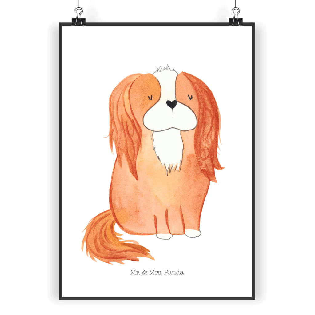 Poster Cavalier King Charles Spaniel Poster, Wandposter, Bild, Wanddeko, Küchenposter, Kinderposter, Wanddeko Bild, Raumdekoration, Wanddekoration, Handgemaltes Poster, Mr. & Mrs. Panda Poster, Designposter, Kunstdruck, Posterdruck, Hund, Hundemotiv, Haustier, Hunderasse, Tierliebhaber, Hundebesitzer, Sprüche, Cavalier King Charles Spaniel, Cockerspaniel, Spaniel, Spruch, schönster Hund