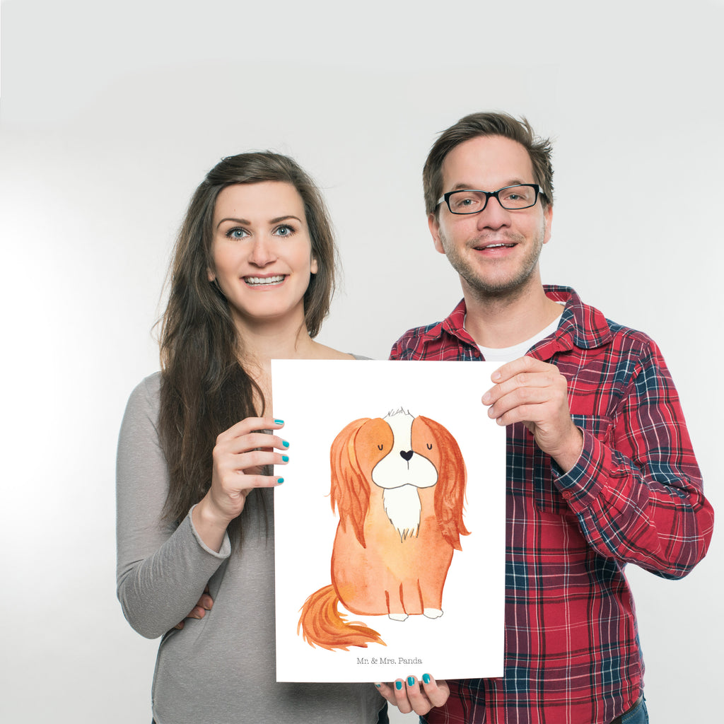 Poster Cavalier King Charles Spaniel Poster, Wandposter, Bild, Wanddeko, Küchenposter, Kinderposter, Wanddeko Bild, Raumdekoration, Wanddekoration, Handgemaltes Poster, Mr. & Mrs. Panda Poster, Designposter, Kunstdruck, Posterdruck, Hund, Hundemotiv, Haustier, Hunderasse, Tierliebhaber, Hundebesitzer, Sprüche, Cavalier King Charles Spaniel, Cockerspaniel, Spaniel, Spruch, schönster Hund