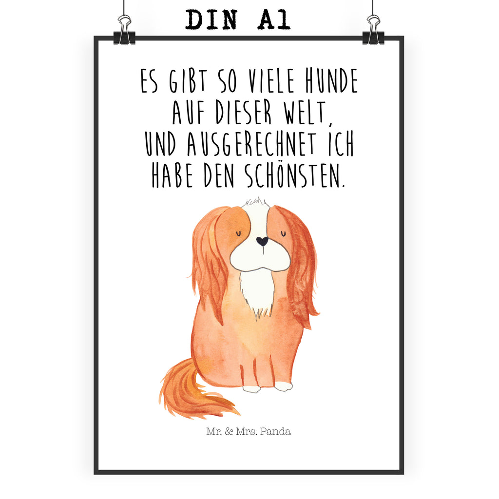 Poster Cavalier King Charles Spaniel Poster, Wandposter, Bild, Wanddeko, Küchenposter, Kinderposter, Wanddeko Bild, Raumdekoration, Wanddekoration, Handgemaltes Poster, Mr. & Mrs. Panda Poster, Designposter, Kunstdruck, Posterdruck, Hund, Hundemotiv, Haustier, Hunderasse, Tierliebhaber, Hundebesitzer, Sprüche, Cavalier King Charles Spaniel, Cockerspaniel, Spaniel, Spruch, schönster Hund