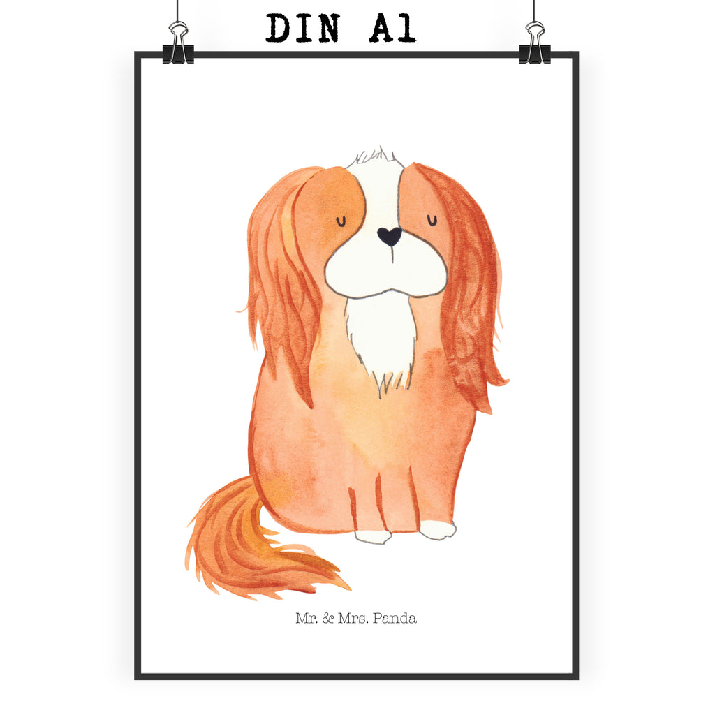 Poster Cavalier King Charles Spaniel Poster, Wandposter, Bild, Wanddeko, Küchenposter, Kinderposter, Wanddeko Bild, Raumdekoration, Wanddekoration, Handgemaltes Poster, Mr. & Mrs. Panda Poster, Designposter, Kunstdruck, Posterdruck, Hund, Hundemotiv, Haustier, Hunderasse, Tierliebhaber, Hundebesitzer, Sprüche, Cavalier King Charles Spaniel, Cockerspaniel, Spaniel, Spruch, schönster Hund