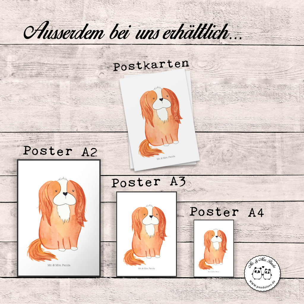 Poster Cavalier King Charles Spaniel Poster, Wandposter, Bild, Wanddeko, Küchenposter, Kinderposter, Wanddeko Bild, Raumdekoration, Wanddekoration, Handgemaltes Poster, Mr. & Mrs. Panda Poster, Designposter, Kunstdruck, Posterdruck, Hund, Hundemotiv, Haustier, Hunderasse, Tierliebhaber, Hundebesitzer, Sprüche, Cavalier King Charles Spaniel, Cockerspaniel, Spaniel, Spruch, schönster Hund