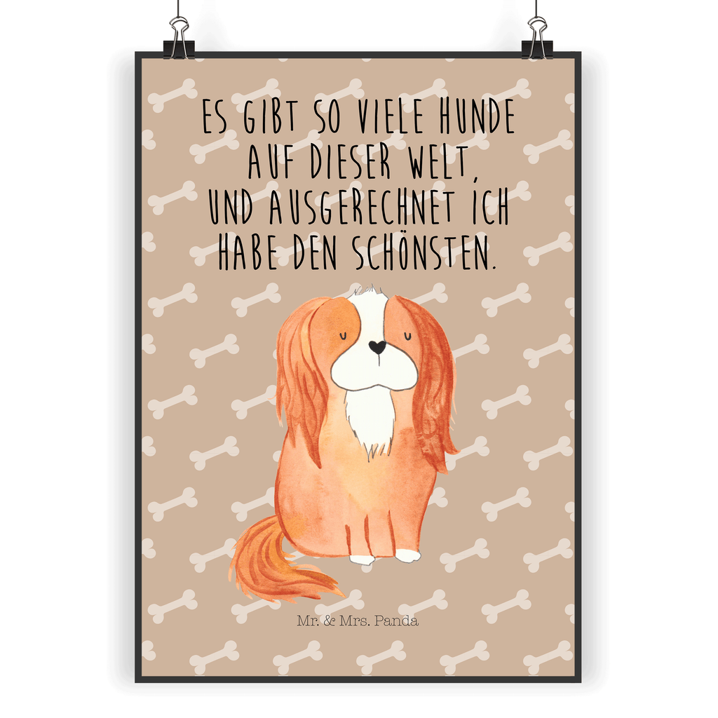 Poster Cavalier King Charles Spaniel Poster, Wandposter, Bild, Wanddeko, Küchenposter, Kinderposter, Wanddeko Bild, Raumdekoration, Wanddekoration, Handgemaltes Poster, Mr. & Mrs. Panda Poster, Designposter, Kunstdruck, Posterdruck, Hund, Hundemotiv, Haustier, Hunderasse, Tierliebhaber, Hundebesitzer, Sprüche, Cavalier King Charles Spaniel, Cockerspaniel, Spaniel, Spruch, schönster Hund