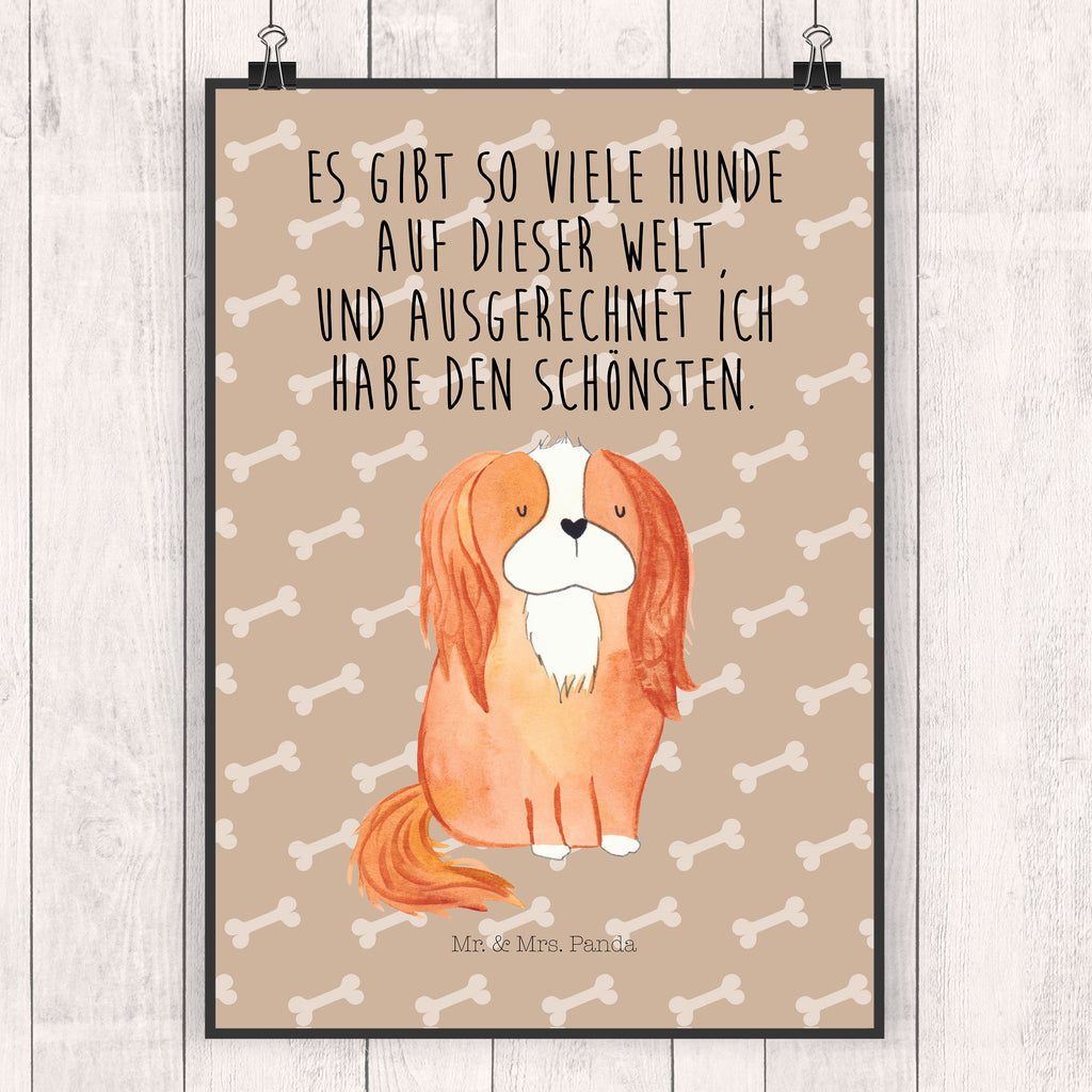 Poster Cavalier King Charles Spaniel Poster, Wandposter, Bild, Wanddeko, Küchenposter, Kinderposter, Wanddeko Bild, Raumdekoration, Wanddekoration, Handgemaltes Poster, Mr. & Mrs. Panda Poster, Designposter, Kunstdruck, Posterdruck, Hund, Hundemotiv, Haustier, Hunderasse, Tierliebhaber, Hundebesitzer, Sprüche, Cavalier King Charles Spaniel, Cockerspaniel, Spaniel, Spruch, schönster Hund