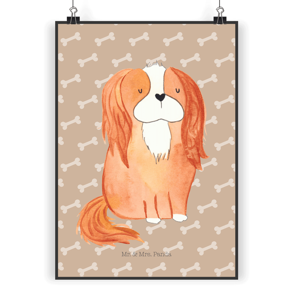 Poster Cavalier King Charles Spaniel Poster, Wandposter, Bild, Wanddeko, Küchenposter, Kinderposter, Wanddeko Bild, Raumdekoration, Wanddekoration, Handgemaltes Poster, Mr. & Mrs. Panda Poster, Designposter, Kunstdruck, Posterdruck, Hund, Hundemotiv, Haustier, Hunderasse, Tierliebhaber, Hundebesitzer, Sprüche, Cavalier King Charles Spaniel, Cockerspaniel, Spaniel, Spruch, schönster Hund