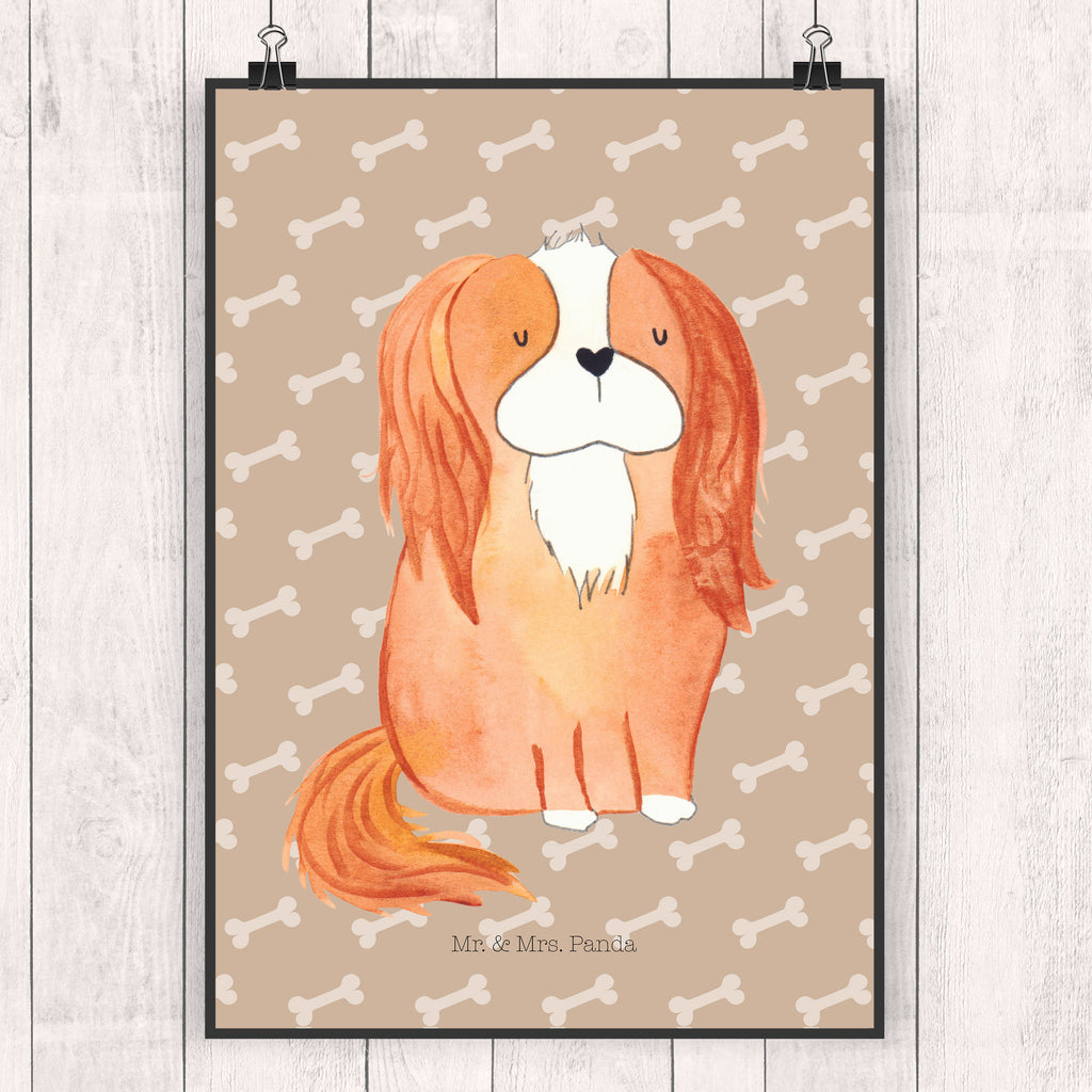 Poster Cavalier King Charles Spaniel Poster, Wandposter, Bild, Wanddeko, Küchenposter, Kinderposter, Wanddeko Bild, Raumdekoration, Wanddekoration, Handgemaltes Poster, Mr. & Mrs. Panda Poster, Designposter, Kunstdruck, Posterdruck, Hund, Hundemotiv, Haustier, Hunderasse, Tierliebhaber, Hundebesitzer, Sprüche, Cavalier King Charles Spaniel, Cockerspaniel, Spaniel, Spruch, schönster Hund