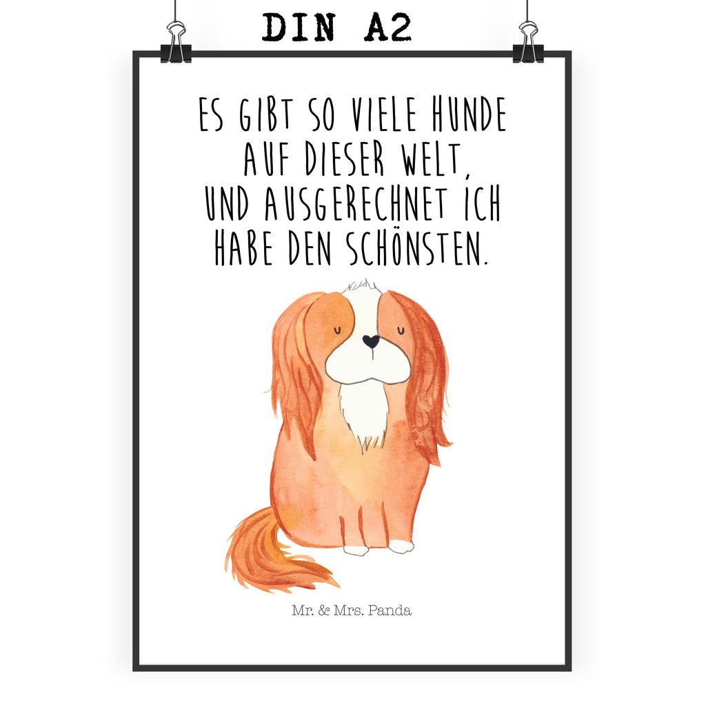 Poster Cavalier King Charles Spaniel Poster, Wandposter, Bild, Wanddeko, Küchenposter, Kinderposter, Wanddeko Bild, Raumdekoration, Wanddekoration, Handgemaltes Poster, Mr. & Mrs. Panda Poster, Designposter, Kunstdruck, Posterdruck, Hund, Hundemotiv, Haustier, Hunderasse, Tierliebhaber, Hundebesitzer, Sprüche, Cavalier King Charles Spaniel, Cockerspaniel, Spaniel, Spruch, schönster Hund