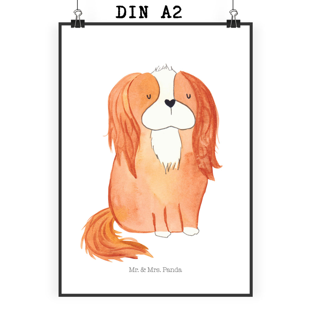 Poster Cavalier King Charles Spaniel Poster, Wandposter, Bild, Wanddeko, Küchenposter, Kinderposter, Wanddeko Bild, Raumdekoration, Wanddekoration, Handgemaltes Poster, Mr. & Mrs. Panda Poster, Designposter, Kunstdruck, Posterdruck, Hund, Hundemotiv, Haustier, Hunderasse, Tierliebhaber, Hundebesitzer, Sprüche, Cavalier King Charles Spaniel, Cockerspaniel, Spaniel, Spruch, schönster Hund