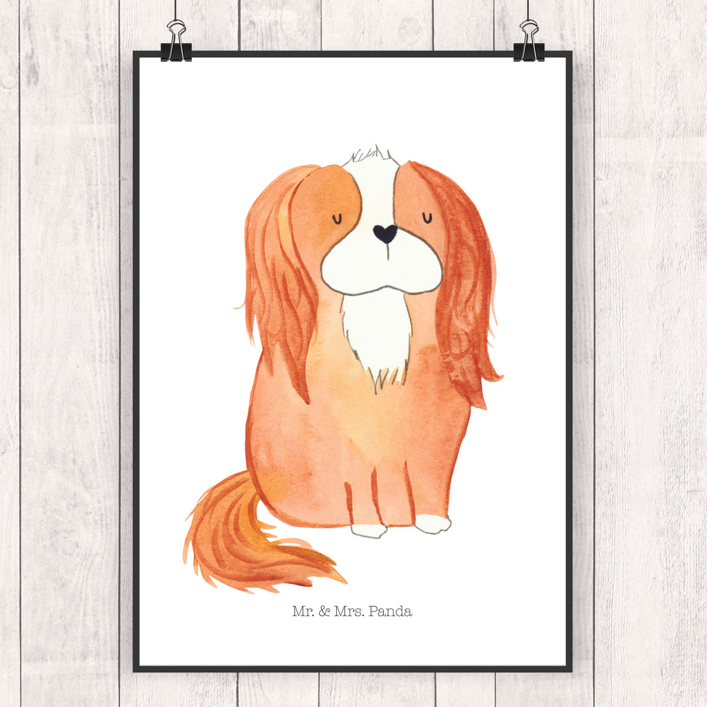 Poster Cavalier King Charles Spaniel Poster, Wandposter, Bild, Wanddeko, Küchenposter, Kinderposter, Wanddeko Bild, Raumdekoration, Wanddekoration, Handgemaltes Poster, Mr. & Mrs. Panda Poster, Designposter, Kunstdruck, Posterdruck, Hund, Hundemotiv, Haustier, Hunderasse, Tierliebhaber, Hundebesitzer, Sprüche, Cavalier King Charles Spaniel, Cockerspaniel, Spaniel, Spruch, schönster Hund