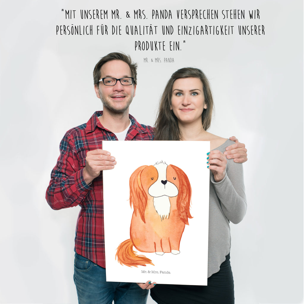Poster Cavalier King Charles Spaniel Poster, Wandposter, Bild, Wanddeko, Küchenposter, Kinderposter, Wanddeko Bild, Raumdekoration, Wanddekoration, Handgemaltes Poster, Mr. & Mrs. Panda Poster, Designposter, Kunstdruck, Posterdruck, Hund, Hundemotiv, Haustier, Hunderasse, Tierliebhaber, Hundebesitzer, Sprüche, Cavalier King Charles Spaniel, Cockerspaniel, Spaniel, Spruch, schönster Hund