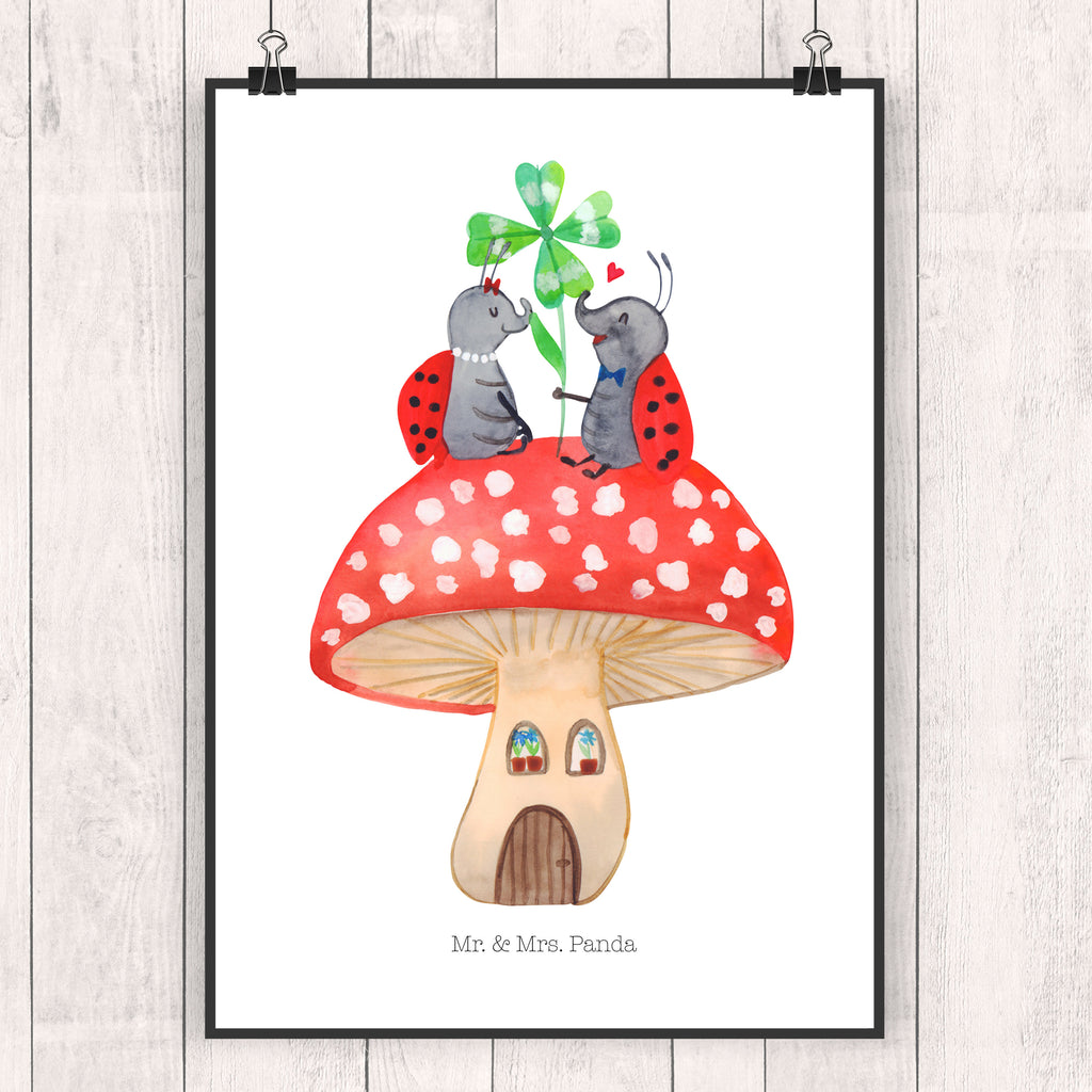 Poster Marienkäfer Paar Fliegenpilz Poster, Wandposter, Bild, Wanddeko, Küchenposter, Kinderposter, Wanddeko Bild, Raumdekoration, Wanddekoration, Handgemaltes Poster, Mr. & Mrs. Panda Poster, Designposter, Kunstdruck, Posterdruck, Tiermotive, Gute Laune, lustige Sprüche, Tiere, Haus, Wohnung, zuhause, Fliegenpilz, Marienkäfer, Fleigenpilzhaus