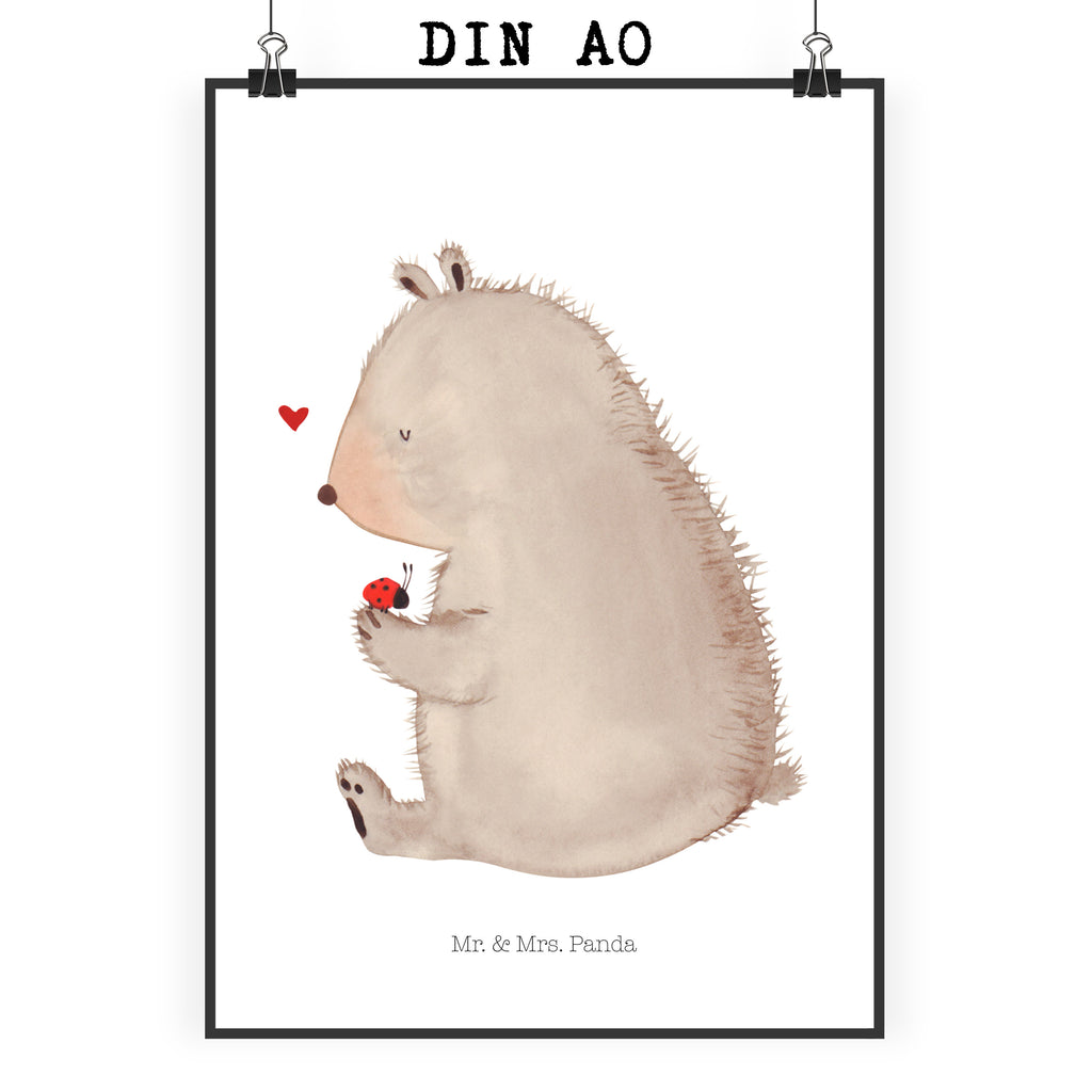 Poster Bär mit Marienkäfer Poster, Wandposter, Bild, Wanddeko, Küchenposter, Kinderposter, Wanddeko Bild, Raumdekoration, Wanddekoration, Handgemaltes Poster, Mr. & Mrs. Panda Poster, Designposter, Kunstdruck, Posterdruck, Bär, Teddy, Teddybär, Marienkäfer, Liebe, Freiheit, Motivation, Das Leben ist schön
