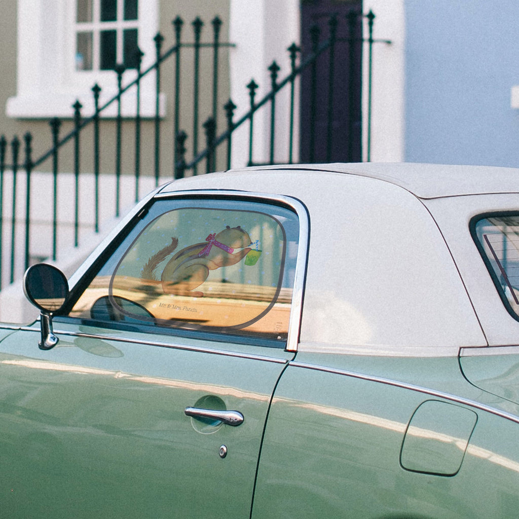 Auto Sonnenschutz Eichhörnchen Smoothie Auto Sonnenschutz, Sonnenschutz Baby, Sonnenschutz Kinder, Sonne, Sonnenblende, Sonnenschutzfolie, Sonne Auto, Tiermotive, Gute Laune, lustige Sprüche, Tiere, Green Smoothies, Diät, Abnehmen, Streifenhörnchen, Eichhörnchen