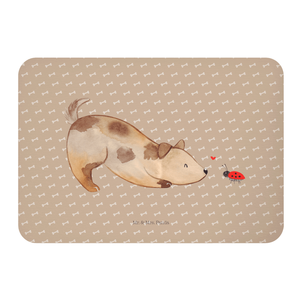Magnet Hund Marienkäfer Kühlschrankmagnet, Pinnwandmagnet, Souvenir Magnet, Motivmagnete, Dekomagnet, Whiteboard Magnet, Notiz Magnet, Kühlschrank Dekoration, Hund, Hundemotiv, Haustier, Hunderasse, Tierliebhaber, Hundebesitzer, Sprüche, Hunde, Hundespruch, Marienkäfer, Mischling, Mischlinghund