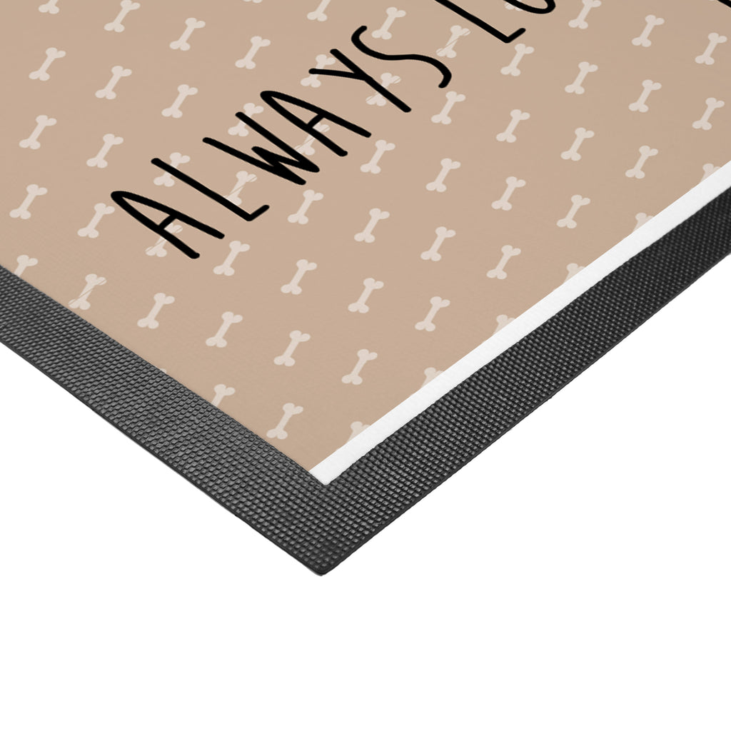 Fußmatte Hund Keks Hund, Hundekekse, Leckerli, Hundeleckerli, Hundesnacks,  Türvorleger, Schmutzmatte, Fußabtreter, Matte, Schmutzfänger, Fußabstreifer, Schmutzfangmatte, Türmatte, Motivfußmatte,  Haustürmatte, Vorleger  Hund, Hundemotiv, Haustier, Hunderasse, Tierliebhaber, Hundebesitzer, Sprüche