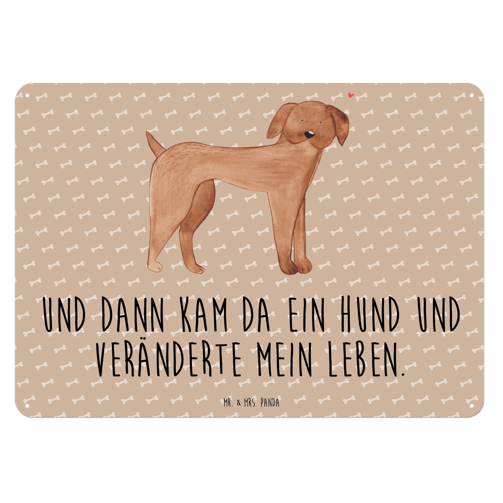 Blechschild Hund Dogge Hund, Hunde, Dogge, Deutsche Dogge, Great Dane Blechschild, Metallschild, Geschenk Schild, Schild, Magnet-Metall-Schild, Deko Schild, Wandschild, Wand-Dekoration, Türschild, Wandschild, Metallschild  Hund, Hundemotiv, Haustier, Hunderasse, Tierliebhaber, Hundebesitzer, Sprüche