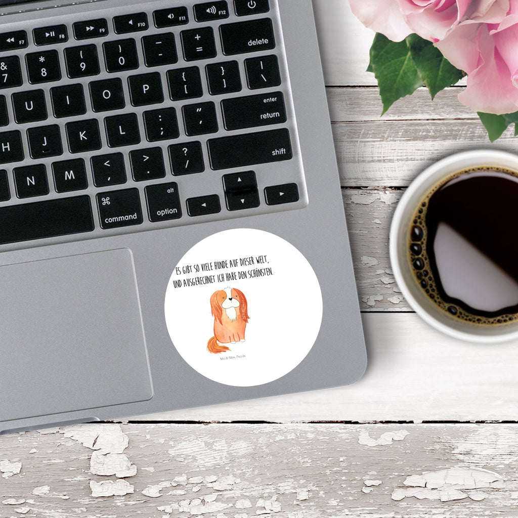 80mm Rund Aufkleber Cavalier King Charles Spaniel