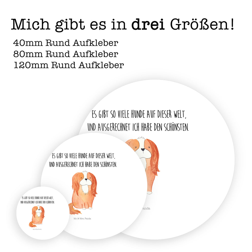 80mm Rund Aufkleber Cavalier King Charles Spaniel