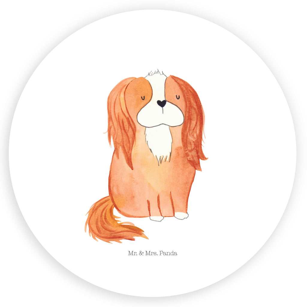 80mm Rund Aufkleber Cavalier King Charles Spaniel