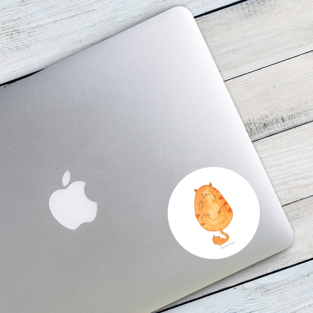 40mm Rund Aufkleber Katze Mittelfinger Sticker, Aufkleber, Etikett, Katze, Katzenmotiv, Katzenfan, Katzendeko, Katzenfreund, Katzenliebhaber, Katzenprodukte, Katzenartikel, Katzenaccessoires, Katzensouvenirs, Katzenliebhaberprodukte, Katzenmotive, Katzen, Kater, Mietze, Cat, Cats