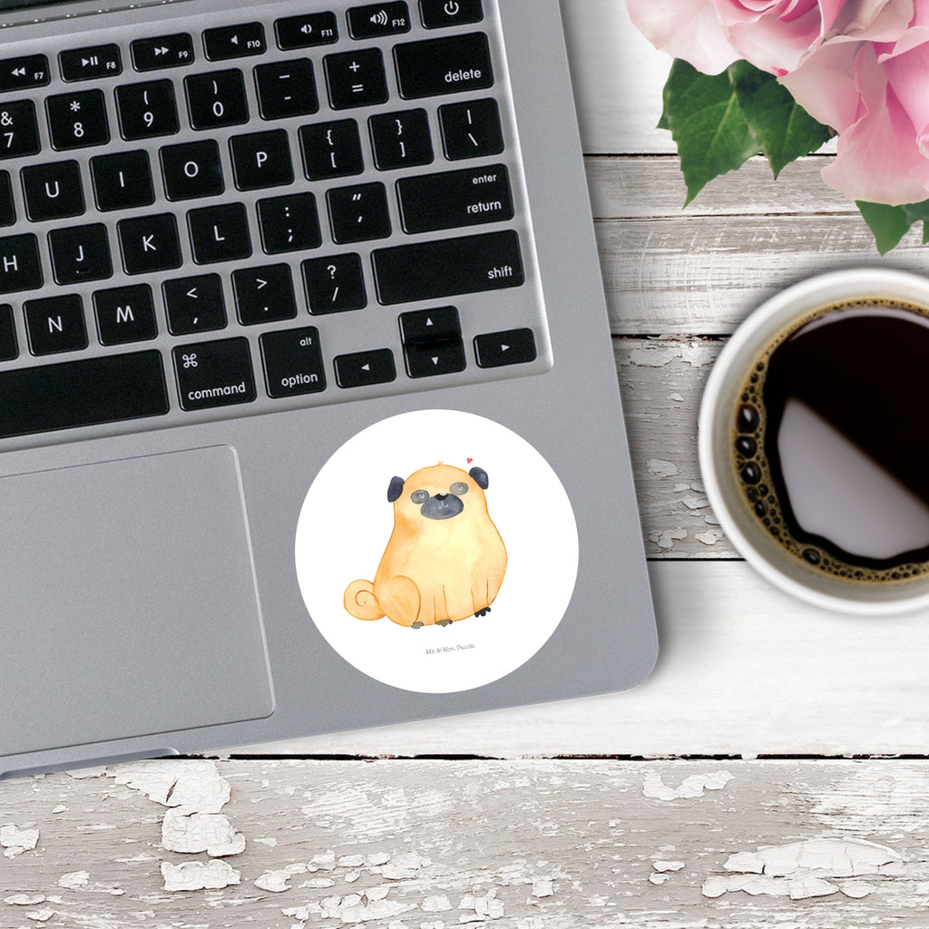 80mm Rund Aufkleber Mops Sticker, Aufkleber, Etikett, Hund, Hundemotiv, Haustier, Hunderasse, Tierliebhaber, Hundebesitzer, Sprüche, Mops, Liebe, Hundeliebe