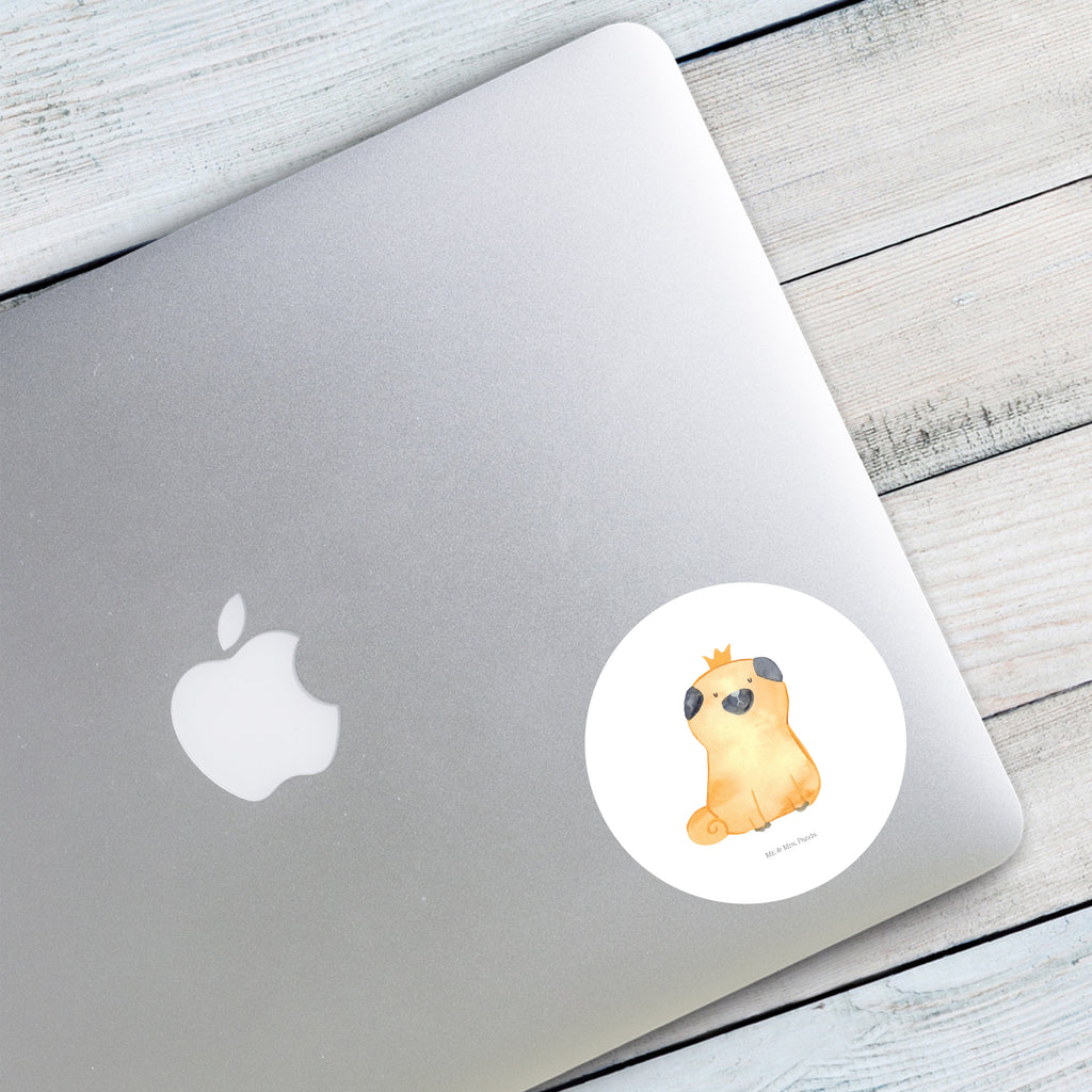 80mm Rund Aufkleber Mops Krone Sticker, Aufkleber, Etikett, Hund, Hundemotiv, Haustier, Hunderasse, Tierliebhaber, Hundebesitzer, Sprüche, Mops, allergisch, kinderlos, Hausregel, Hundebesitzer. Spruch, lustig