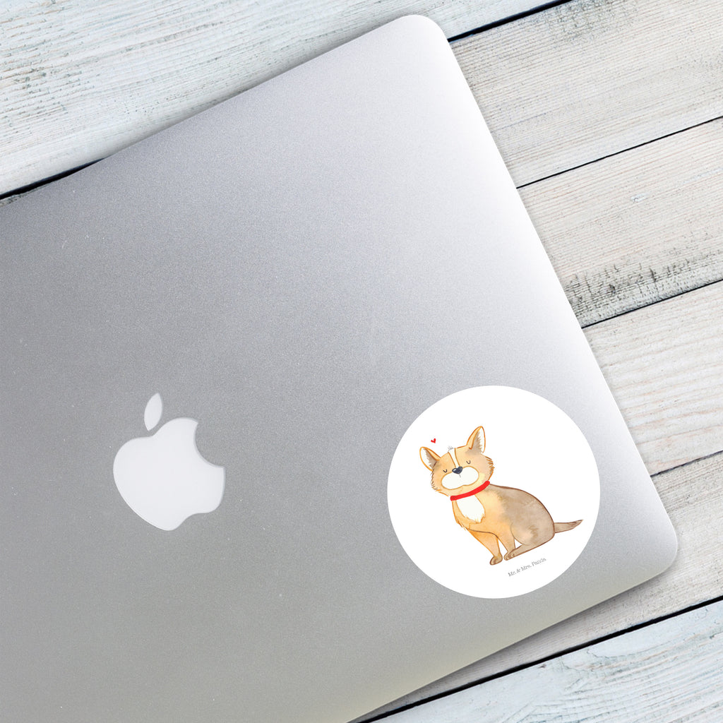 80mm Rund Aufkleber Hundeglück Sticker, Aufkleber, Etikett, Hund, Hundemotiv, Haustier, Hunderasse, Tierliebhaber, Hundebesitzer, Sprüche, Corgie, Hundeliebe, Spruch, Hundemama, Liebe