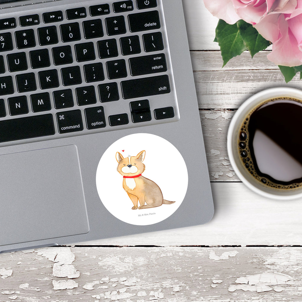 80mm Rund Aufkleber Hundeglück Sticker, Aufkleber, Etikett, Hund, Hundemotiv, Haustier, Hunderasse, Tierliebhaber, Hundebesitzer, Sprüche, Corgie, Hundeliebe, Spruch, Hundemama, Liebe