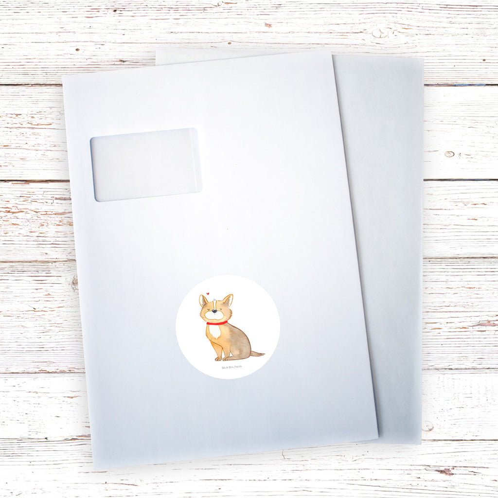 80mm Rund Aufkleber Hundeglück Sticker, Aufkleber, Etikett, Hund, Hundemotiv, Haustier, Hunderasse, Tierliebhaber, Hundebesitzer, Sprüche, Corgie, Hundeliebe, Spruch, Hundemama, Liebe