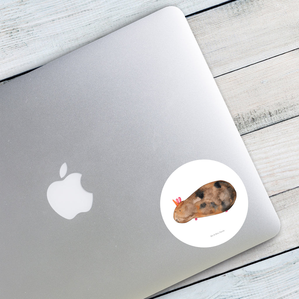 80mm Rund Aufkleber Meerhörnchen