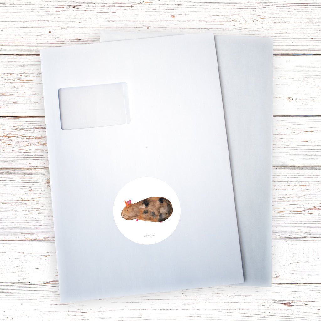 80mm Rund Aufkleber Meerhörnchen