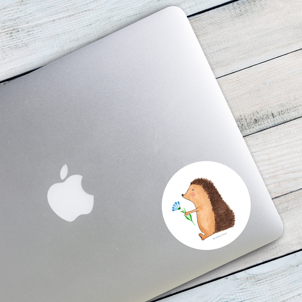 80mm Rund Aufkleber Igel mit Blume Sticker, Aufkleber, Etikett, süße Tiermotive, gute Laune, lustige Sprüche, Tiere, Igel, Gute Besserung, Genesungswünsche, Krankheit, Krankenhaus, krank, Besuch
