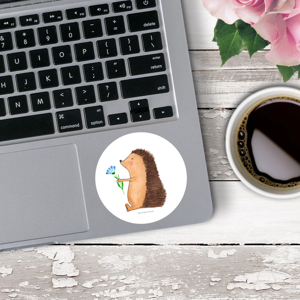 80mm Rund Aufkleber Igel mit Blume Sticker, Aufkleber, Etikett, süße Tiermotive, gute Laune, lustige Sprüche, Tiere, Igel, Gute Besserung, Genesungswünsche, Krankheit, Krankenhaus, krank, Besuch