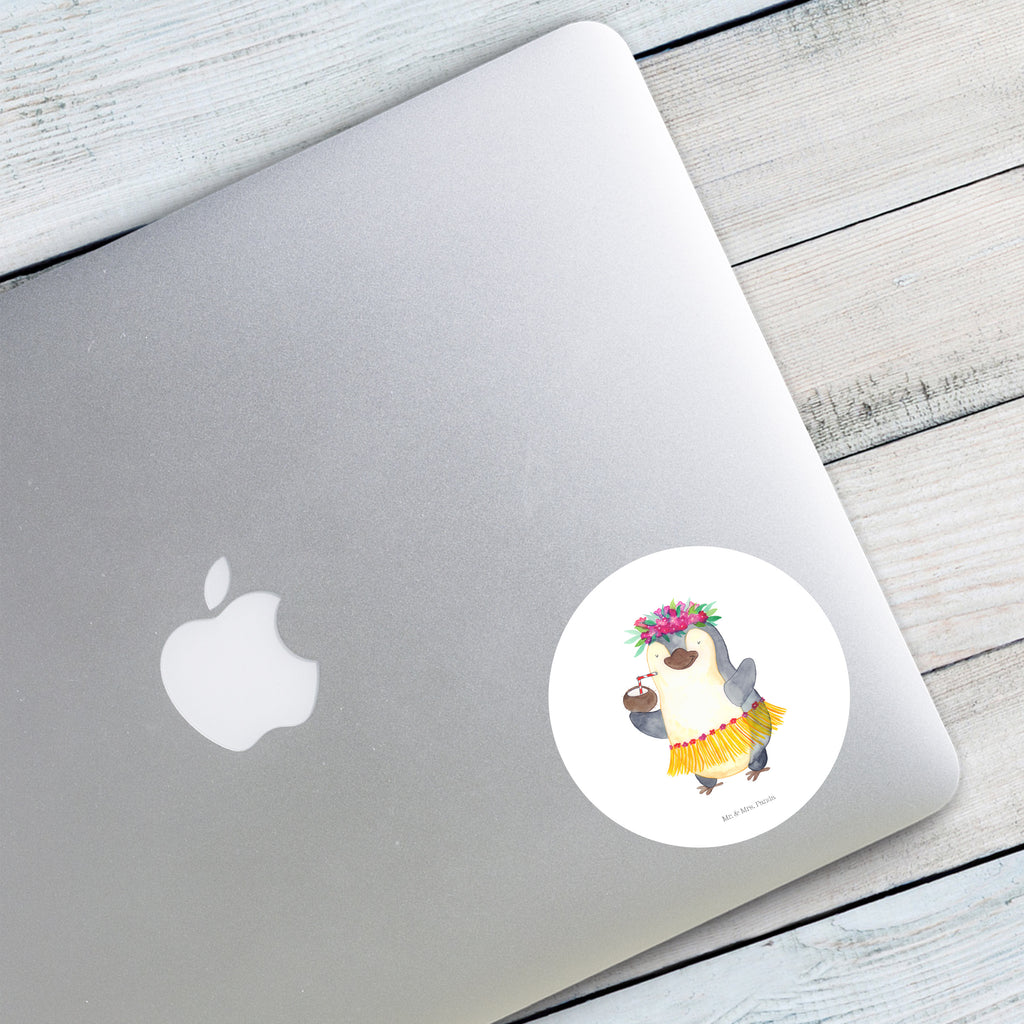 80mm Rund Aufkleber Pinguin Kokosnuss Sticker, Aufkleber, Etikett, Pinguin, Aloha, Hawaii, Urlaub, Kokosnuss, Pinguine
