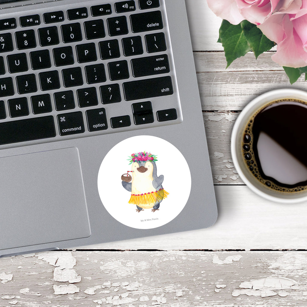 80mm Rund Aufkleber Pinguin Kokosnuss Sticker, Aufkleber, Etikett, Pinguin, Aloha, Hawaii, Urlaub, Kokosnuss, Pinguine