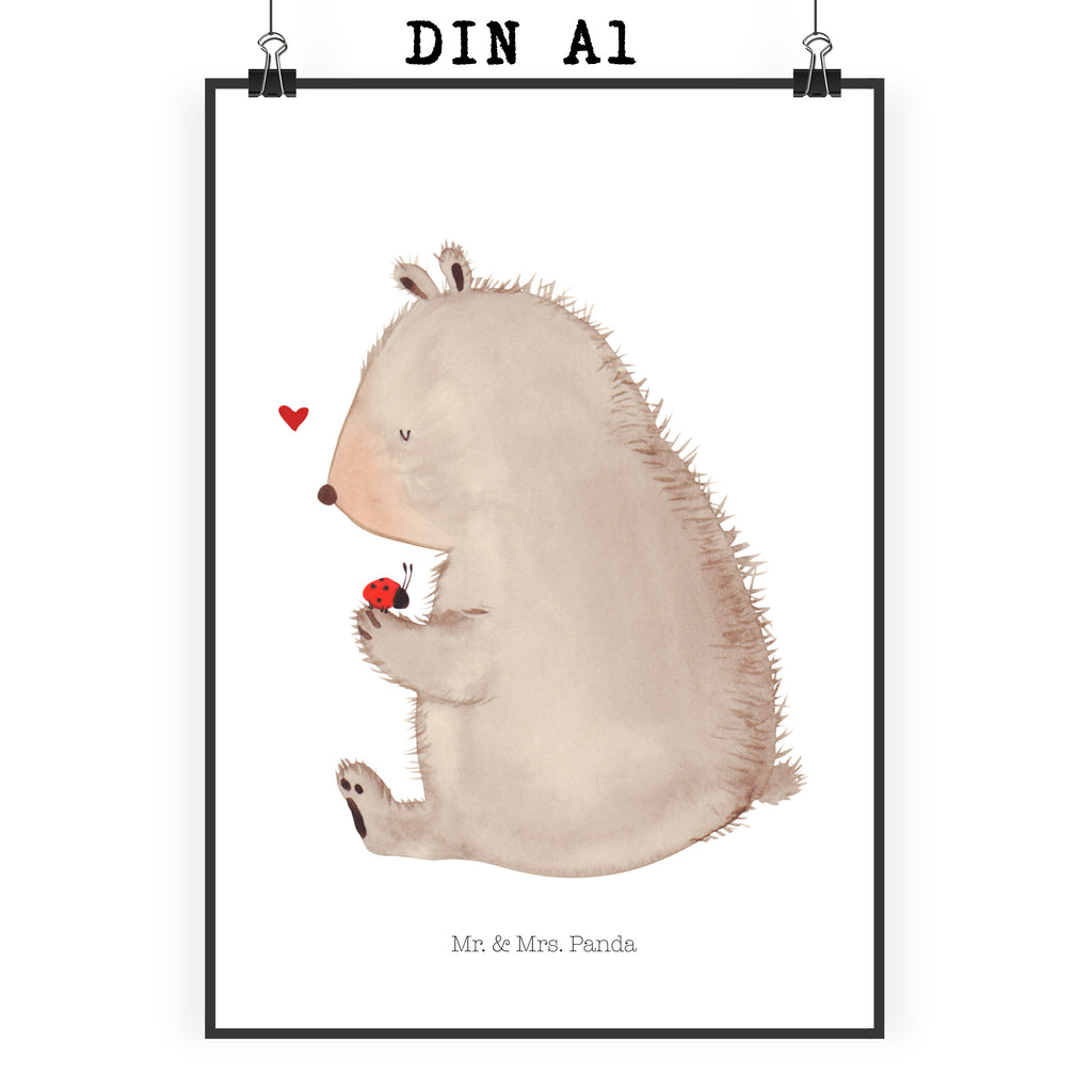 Poster Bär mit Marienkäfer Poster, Wandposter, Bild, Wanddeko, Küchenposter, Kinderposter, Wanddeko Bild, Raumdekoration, Wanddekoration, Handgemaltes Poster, Mr. & Mrs. Panda Poster, Designposter, Kunstdruck, Posterdruck, Bär, Teddy, Teddybär, Marienkäfer, Liebe, Freiheit, Motivation, Das Leben ist schön