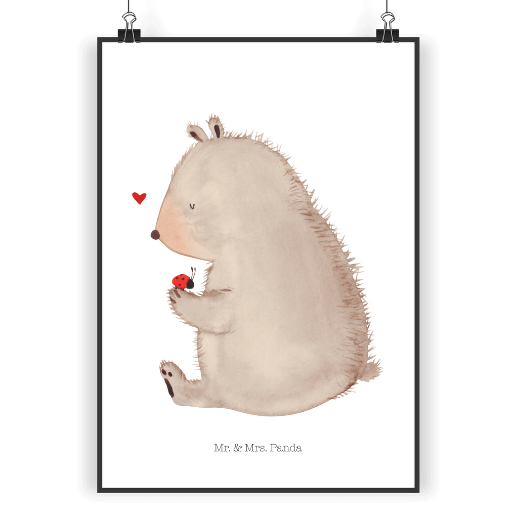 Poster Bär mit Marienkäfer Poster, Wandposter, Bild, Wanddeko, Küchenposter, Kinderposter, Wanddeko Bild, Raumdekoration, Wanddekoration, Handgemaltes Poster, Mr. & Mrs. Panda Poster, Designposter, Kunstdruck, Posterdruck, Bär, Teddy, Teddybär, Marienkäfer, Liebe, Freiheit, Motivation, Das Leben ist schön