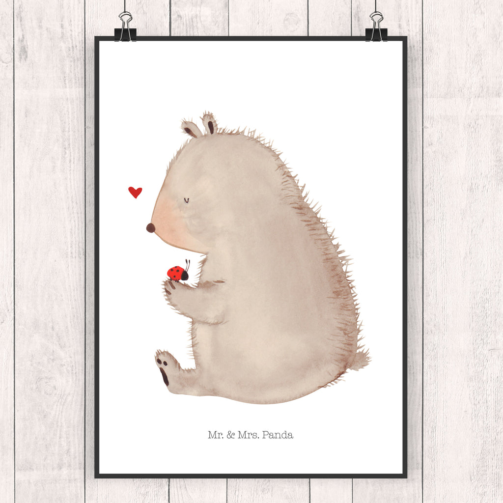 Poster Bär mit Marienkäfer Poster, Wandposter, Bild, Wanddeko, Küchenposter, Kinderposter, Wanddeko Bild, Raumdekoration, Wanddekoration, Handgemaltes Poster, Mr. & Mrs. Panda Poster, Designposter, Kunstdruck, Posterdruck, Bär, Teddy, Teddybär, Marienkäfer, Liebe, Freiheit, Motivation, Das Leben ist schön
