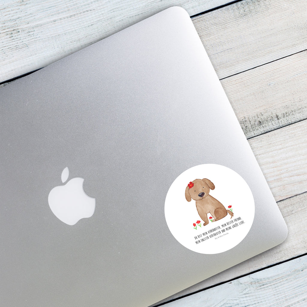 120mm Rund Aufkleber Hund Hundedame Sticker, Aufkleber, Etikett, Kinder, rund, Hund, Hundemotiv, Haustier, Hunderasse, Tierliebhaber, Hundebesitzer, Sprüche, Hunde, Hundeliebe, Hundeglück, Liebe, Frauchen