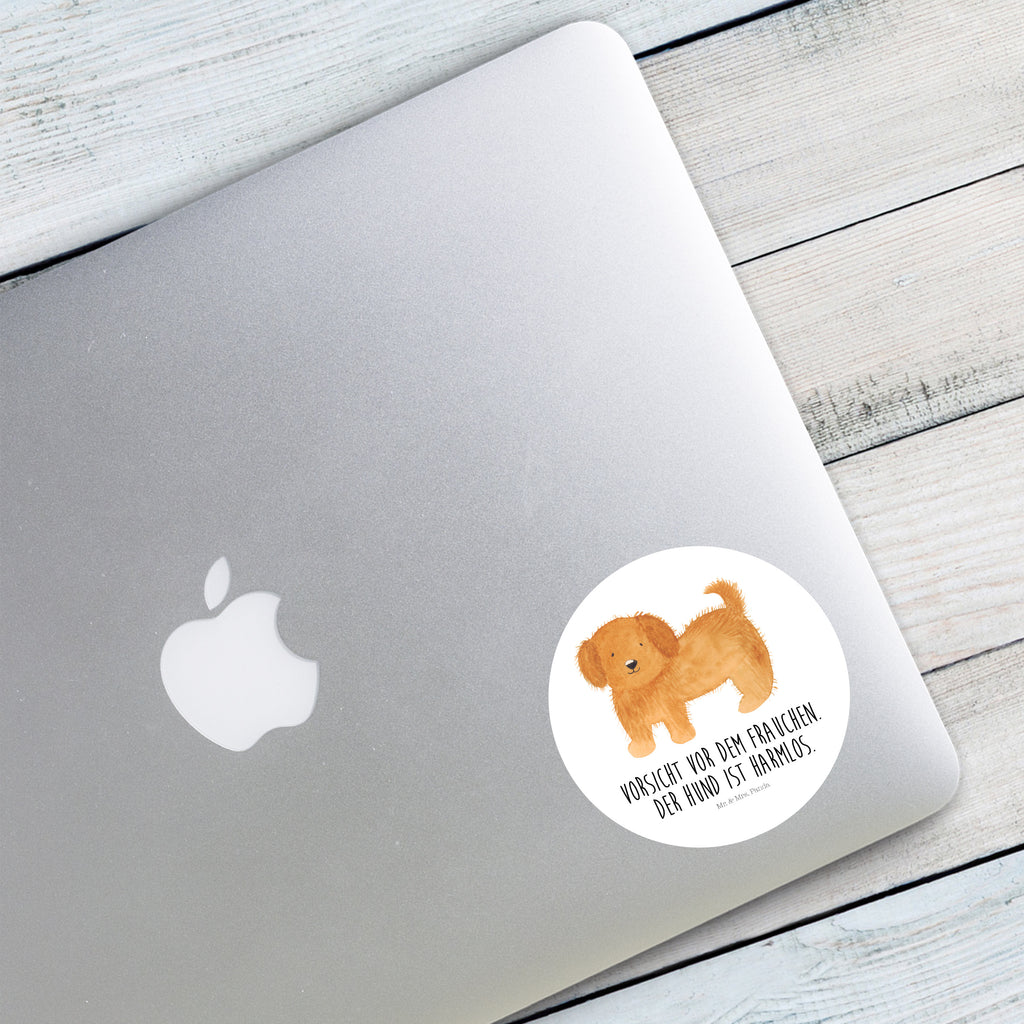 80mm Rund Aufkleber Hund flauschig Sticker, Aufkleber, Etikett, Hund, Hundemotiv, Haustier, Hunderasse, Tierliebhaber, Hundebesitzer, Sprüche, Hunde, Frauchen, Hundemama, Hundeliebe
