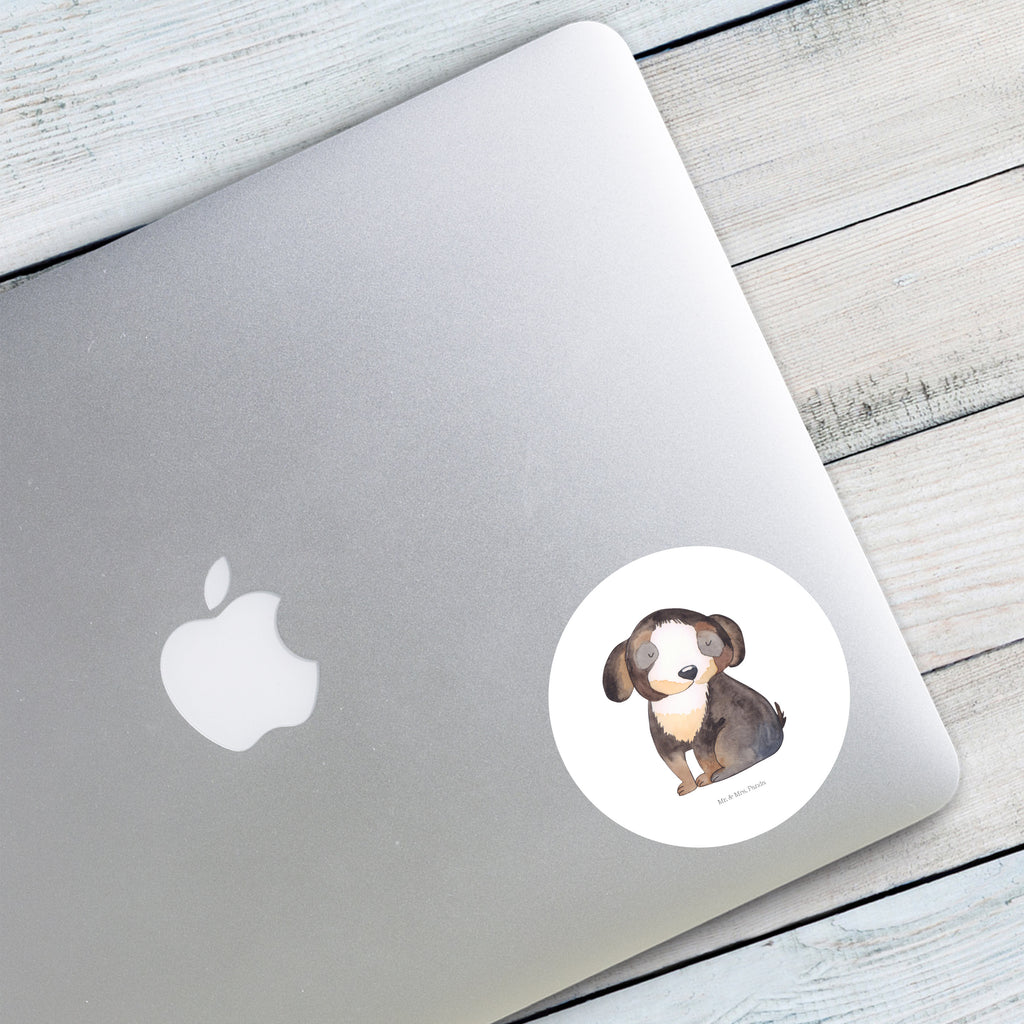 80mm Rund Aufkleber Hund entspannt Sticker, Aufkleber, Etikett, Hund, Hundemotiv, Haustier, Hunderasse, Tierliebhaber, Hundebesitzer, Sprüche, schwarzer Hund, Hundeliebe, Liebe, Hundeglück