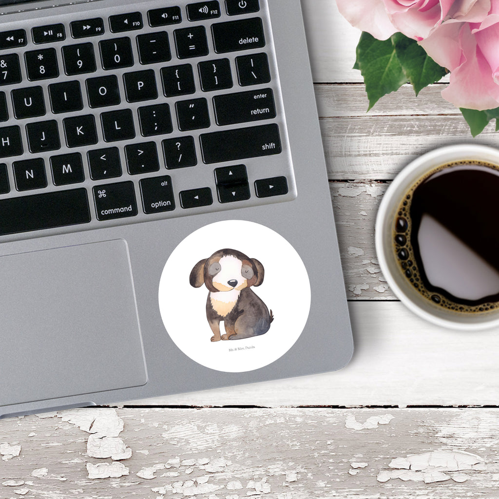 80mm Rund Aufkleber Hund entspannt Sticker, Aufkleber, Etikett, Hund, Hundemotiv, Haustier, Hunderasse, Tierliebhaber, Hundebesitzer, Sprüche, schwarzer Hund, Hundeliebe, Liebe, Hundeglück