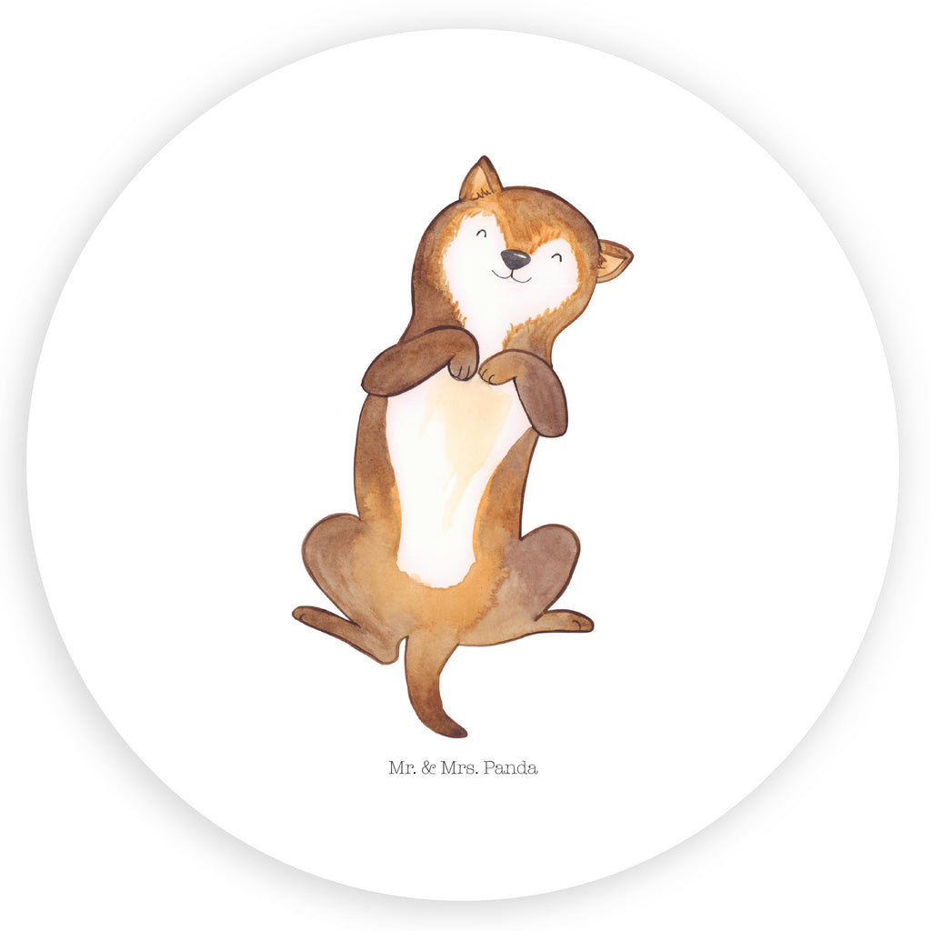 80mm Rund Aufkleber Hund Bauchkraulen Sticker, Aufkleber, Etikett, Hund, Hundemotiv, Haustier, Hunderasse, Tierliebhaber, Hundebesitzer, Sprüche, Hunde, Hundeliebe, Hundewelpe, Bauchkraulen