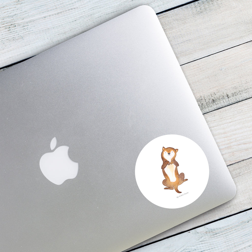 80mm Rund Aufkleber Hund Bauchkraulen Sticker, Aufkleber, Etikett, Hund, Hundemotiv, Haustier, Hunderasse, Tierliebhaber, Hundebesitzer, Sprüche, Hunde, Hundeliebe, Hundewelpe, Bauchkraulen