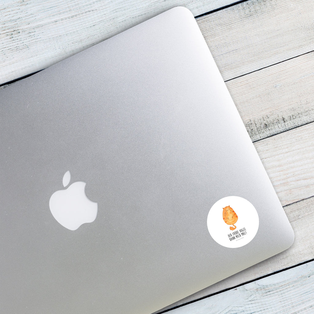 40mm Rund Aufkleber Katze Frühaufsteher Sticker, Aufkleber, Etikett, Katze, Katzenmotiv, Katzenfan, Katzendeko, Katzenfreund, Katzenliebhaber, Katzenprodukte, Katzenartikel, Katzenaccessoires, Katzensouvenirs, Katzenliebhaberprodukte, Katzenmotive, Der frühe Vogel kann mich mal, Morgenmuffel, Frühaufsteher, Kaffee, Katzen, Kater, Mietze