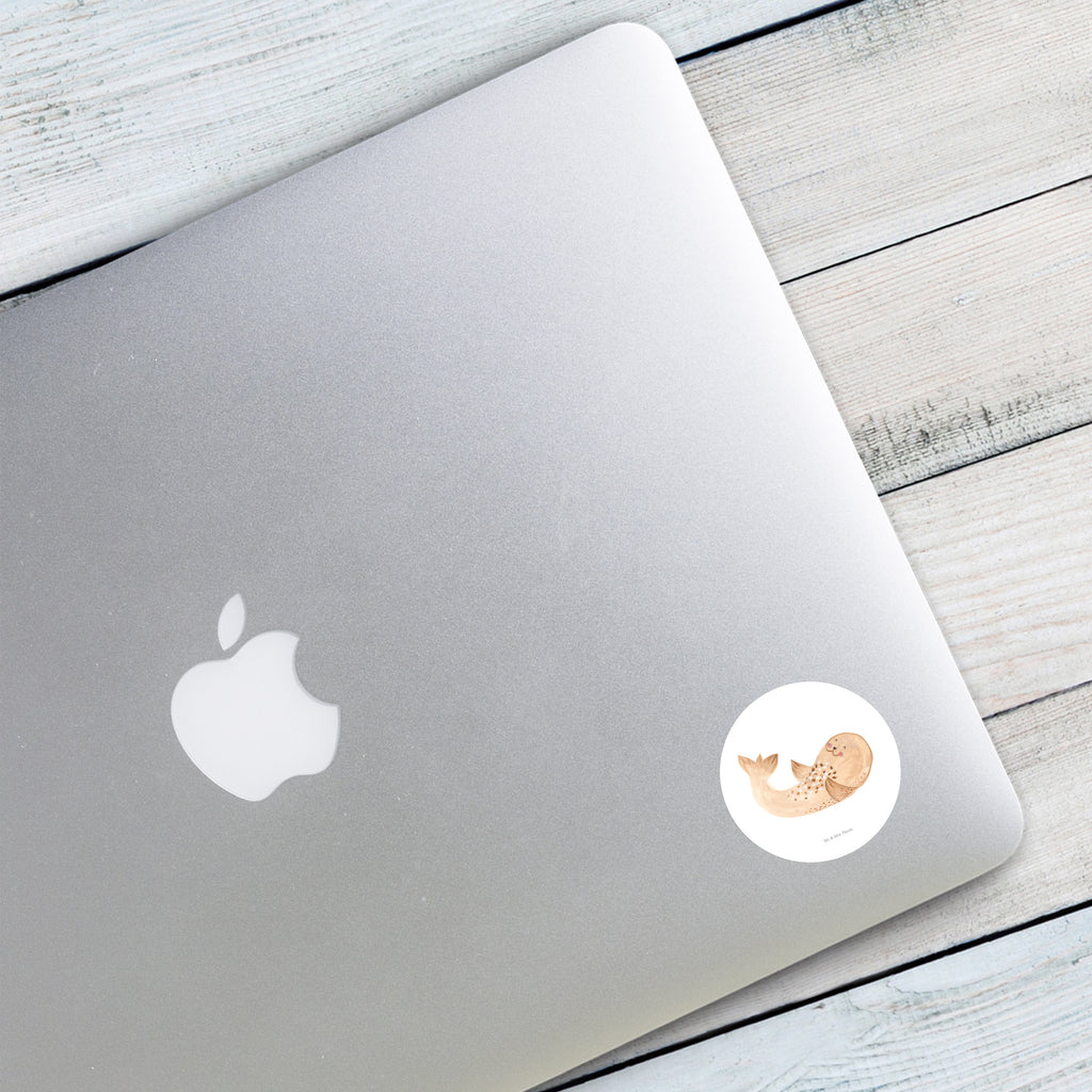 40mm Rund Aufkleber Robbe liegend Sticker, Aufkleber, Etikett, süße Tiermotive, gute Laune, lustige Sprüche, Tiere, Robbe, Robben, Seehund, Strand, Meerestier, Ostsee, Nordsee, Lachen, Freude